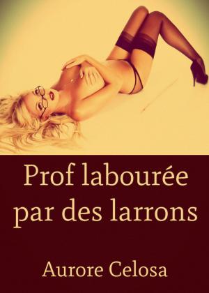 Cover of the book Prof labourée par des larrons by Aurore Celosa