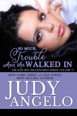 Cover of the book So Much Trouble When She Walked In by Judy Angelo