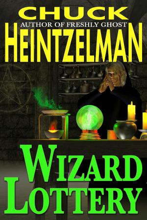 Book cover of Wizard Lottery