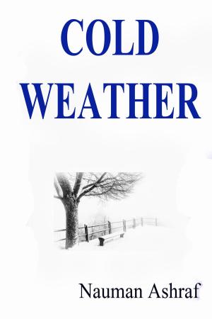 Cover of the book Cold Weather by Nauman Ashraf