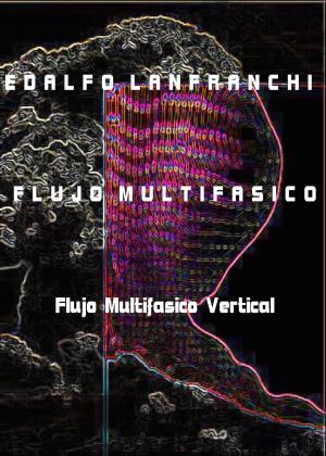 Book cover of Flujo Multifasico