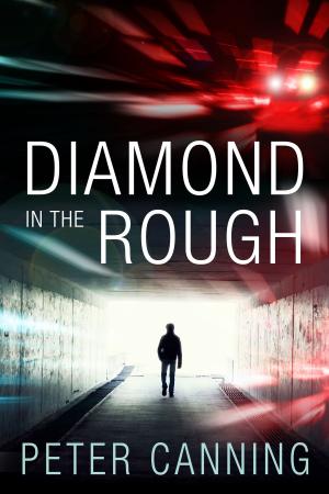 Cover of the book Diamond in the Rough by Kenneth Buff