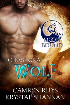Cover of the book Chasing A Wolf by Donna Corbin Yontz