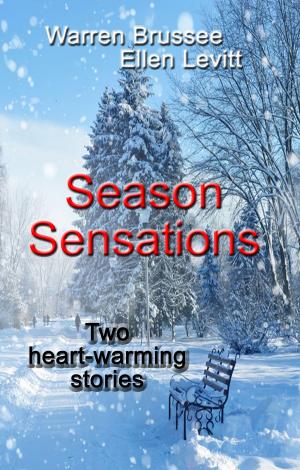 Cover of the book Season Sensations by LaRae L Parry, Aerial Best, Victoria Perkins