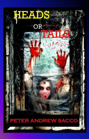 Cover of the book Heads or Tails by Mary Frances Cavallaro, K.L. Dimago, Tess Lynne, Peter Andrew Sacco