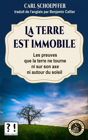 Cover of the book La terre est immobile by Eric Miller, Gregor Mayer