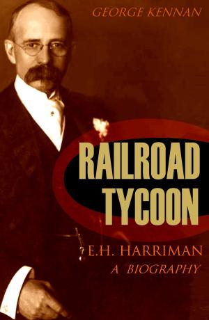 Cover of the book Railroad Tycoon by Herman Lehmann
