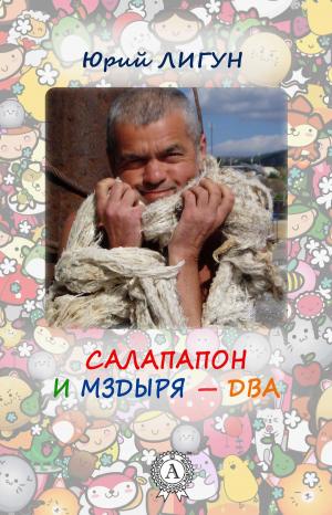 Cover of the book Салапапон и Мздыря – Два by Василий Жуковский
