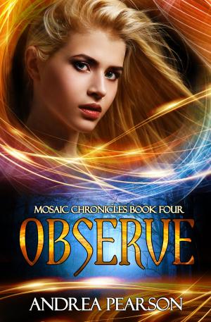 Cover of the book Observe by Steffanie Holmes