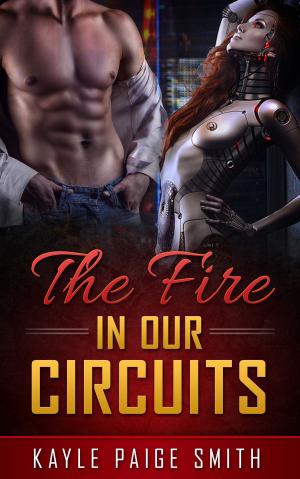 Cover of the book the fire in our circuits by Number Won
