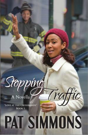 Book cover of Stopping Traffic