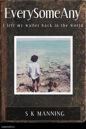 Cover of the book EverySomeAny: I left my wallet in the world by John McCoist