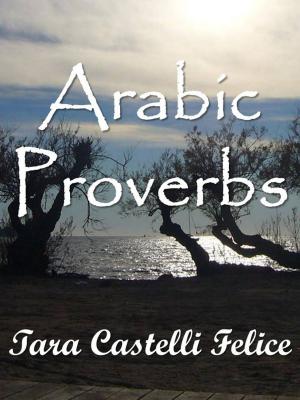 Book cover of Arabic Proverbs