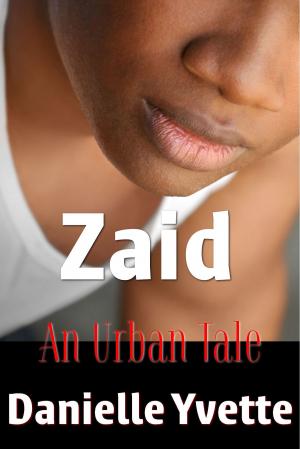 Cover of the book Zaid: An Urban Tale (Short Story) by Kevin Smith