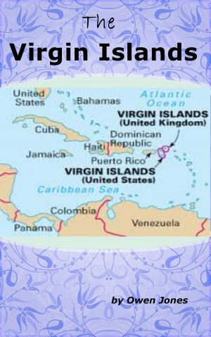 Cover of the book The Virgin Islands by Owen Jones