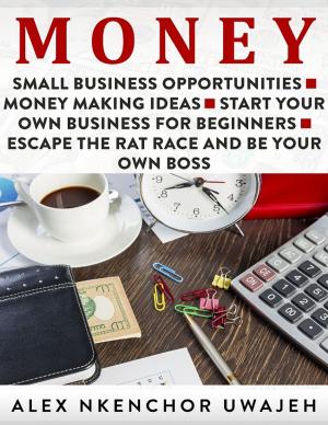 Cover of the book Money: Small Business Opportunities - Money Making Ideas by Alex Nkenchor Uwajeh