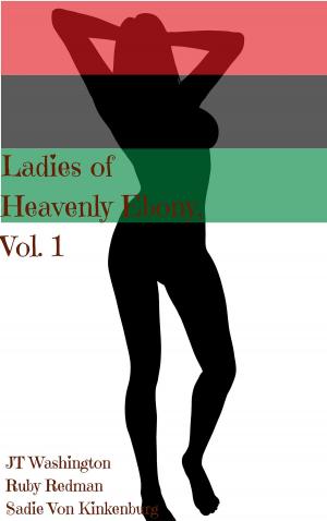 Book cover of Ladies of Heavenly Ebony, Vol. 1