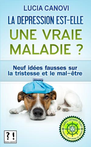 Cover of the book La dépression est-elle une vraie maladie ? by No-To-Know Publication