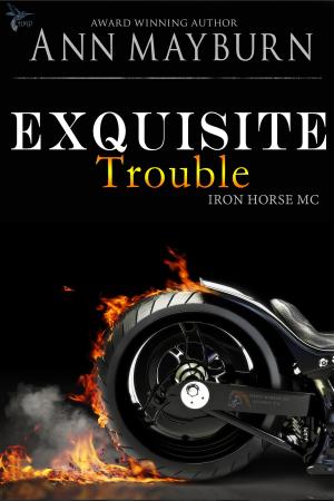 Cover of the book Exquisite Trouble by Ann Mayburn