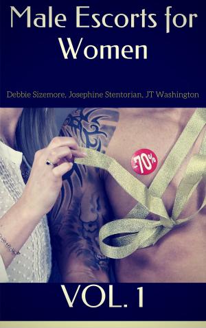 Cover of the book Male Escorts for Women, Vol. 1 by Debbie Sizemore