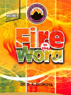 Cover of the book Fire in the Word Volume 8 by Chris Friesen, Michelle Simes