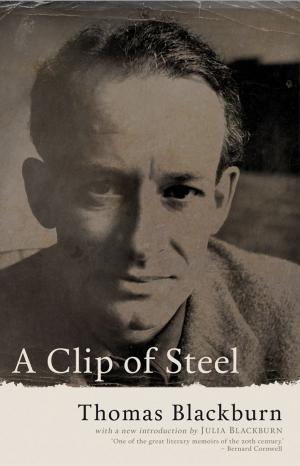 Cover of the book A Clip of Steel by John Blackburn, Greg Gbur