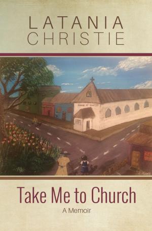 Cover of the book Take Me to Church by N Sreenivasan