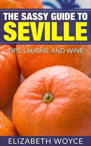 Cover of the book The Sassy Guide to Seville by Clare Higgins