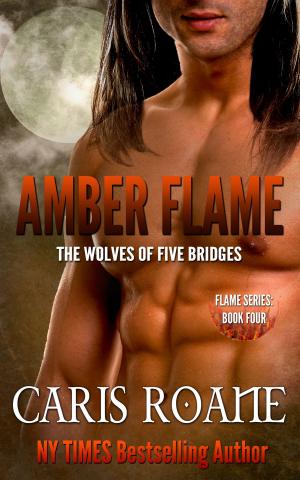 Cover of the book Amber Flame by Caris Roane
