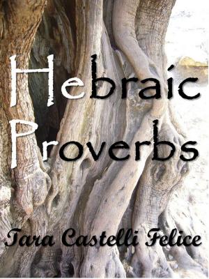 Cover of Proverbi Ebraici