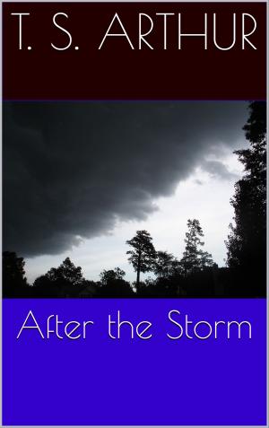 Cover of the book After the Storm by Suzanne Gagnebin