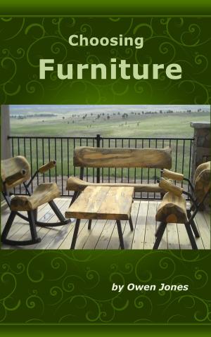 Book cover of Choosing Furniture