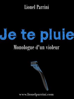 Book cover of Je te pluie