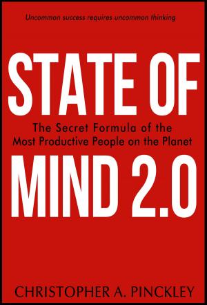 Cover of the book State of Mind 2.0 by Michele Sfakianos