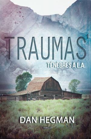 Cover of the book Traumas (roman lesbien) by RB Pahl
