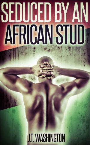 Cover of the book Seduced by an African Stud by CJ Taboon