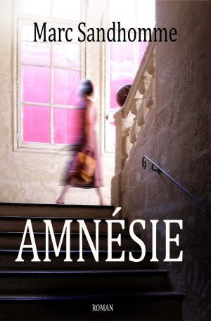 bigCover of the book Amnésie by 