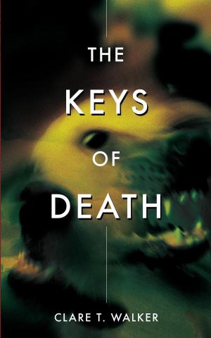 Cover of the book The Keys of Death by michael stanley