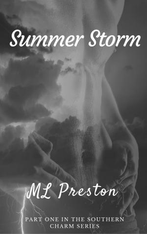 Cover of the book Summer Storm by Simone Frank