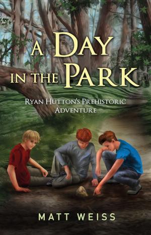 bigCover of the book A Day in the Park by 