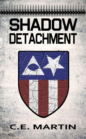 Cover of the book Shadow Detachment by PW Case
