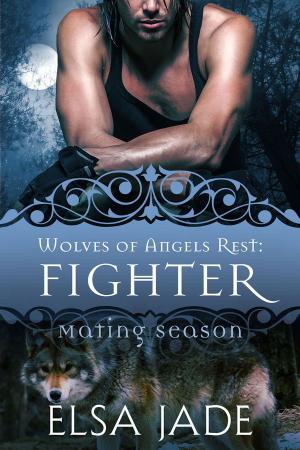 Cover of the book Fighter by Elsa Jade