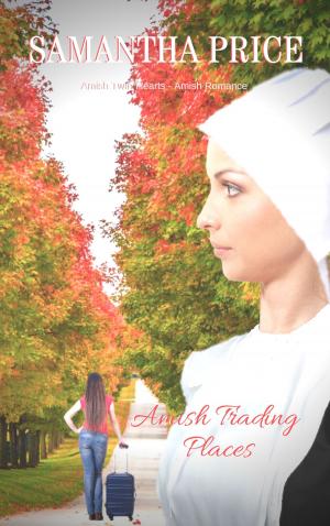 Cover of the book Amish Trading Places by mariella vallone