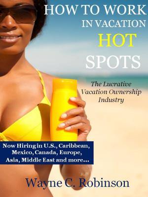 Book cover of HOW TO WORK IN VACATION HOT SPOTS