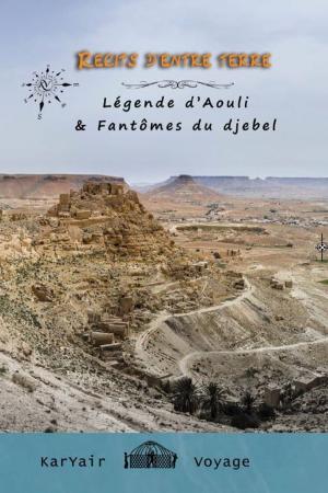 Cover of the book Récits d'entre terre by Winfried Düsterdiek