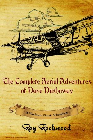 Book cover of The Complete Aerial Adventures of Dave Dashaway
