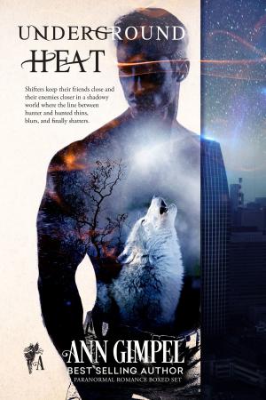 Cover of the book Underground Heat Series by Lindsay Evans