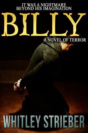 Cover of the book Billy by Wayne Allen Sallee