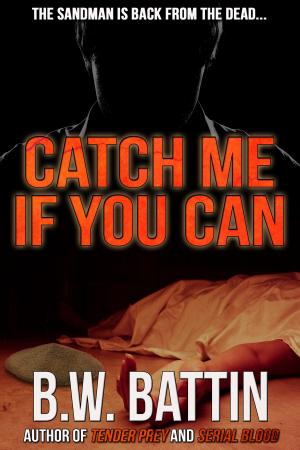 Cover of the book Catch Me If You Can by Warren Fahy
