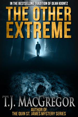 Cover of the book The Other Extreme by Kristen Dabrowski